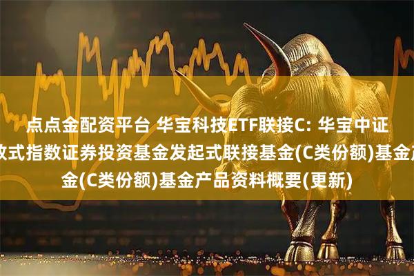 点点金配资平台 华宝科技ETF联接C: 华宝中证科技龙头交易型开放式指数证券投资基金发起式联接基金(C类份额)基金产品资料概要(更新)